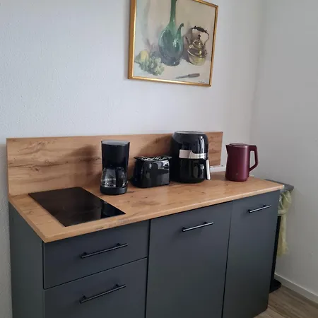 Appartement Gambrinus Schneeberg (Saxony)